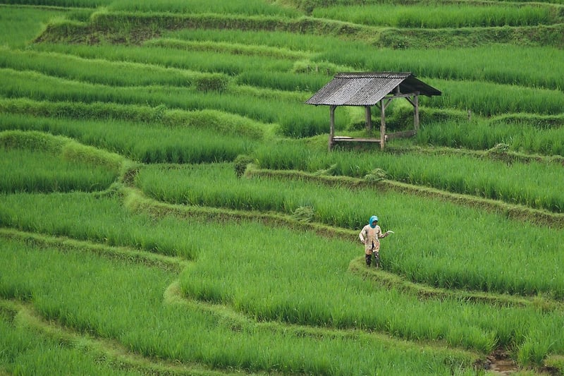 Farm Stays