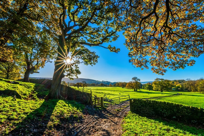 Farm Stay